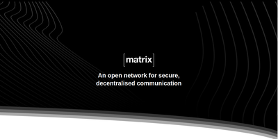 Matrix Synapse screenshot thumbnail