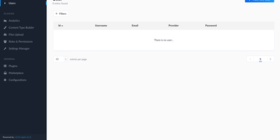 Strapi screenshot thumbnail