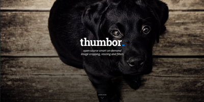 Thumbor screenshot thumbnail