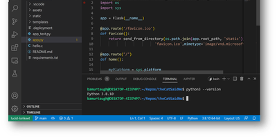 Visual Studio Code Server screenshot thumbnail